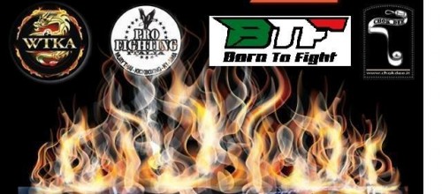 BTF – University of Fighting “THE DESTROYERS”